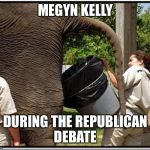 Elephant | MEGYN KELLY DURING THE REPUBLICAN DEBATE | image tagged in elephant | made w/ Imgflip meme maker