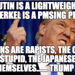 Trump about to lose it | PUTIN IS A LIGHTWEIGHT, MERKEL IS A PMSING PIG, MEXICANS ARE RAPISTS, THE CHINESE ARE STUPID, THE JAPANESE CAN GO F THEMSELVES.......
TRUMP  | image tagged in trump about to lose it | made w/ Imgflip meme maker