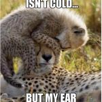 Kids | GREAT, MY HEAD ISN'T COLD... BUT MY EAR IS ALL WET! | image tagged in kids | made w/ Imgflip meme maker