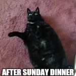 Fat Black Cat | HOW YOU FEEL.. AFTER SUNDAY DINNER AT NONNA'S HOUSE | image tagged in fat black cat | made w/ Imgflip meme maker