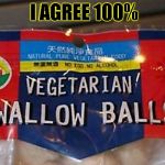 vegetarians do what?  | I AGREE 100% | image tagged in vegetarians do what | made w/ Imgflip meme maker