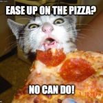 Pizza Cat | EASE UP ON THE PIZZA? NO CAN DO! | image tagged in pizza cat | made w/ Imgflip meme maker