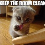 I lick myself | KEEP THE ROOM CLEAN | image tagged in i lick myself | made w/ Imgflip meme maker