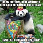Panda Birthday | ON MY BIRTHDAY I JUST WANTED TO KICK BACK, EAT BAMBOO AND GET LAID... INSTEAD I GOT ALL THIS CRAP! | image tagged in panda birthday | made w/ Imgflip meme maker