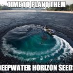 Shade Balls | TIME TO PLANT THEM DEEPWATER HORIZON SEEDS | image tagged in shade balls | made w/ Imgflip meme maker