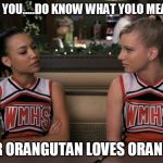 YOLO BRITT. YOU.....DO KNOW WHAT YOLO MEANS, RIGHT? YOUR ORANGUTAN LOVES ORANGES? | image tagged in yolo,glee | made w/ Imgflip meme maker