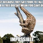 Scared Giraffe | JUST BECAUSE THEY SAY YOUR TO TALL TO CLIMB A TREE DOESNT MEAN YOU CANT DO THE IMPOSSIBLE | image tagged in scared giraffe | made w/ Imgflip meme maker