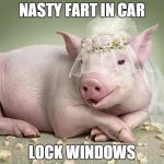 Foul Married Sow | NASTY FART IN CAR LOCK WINDOWS | image tagged in foul married sow | made w/ Imgflip meme maker