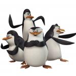 Madagascar penguins