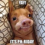 Phteven tuna the dog | YAY! IT'S PH-RIDAY | image tagged in phteven tuna the dog | made w/ Imgflip meme maker