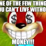 Conker Money Jokes | ONE OF THE FEW THINGS YOU CAN'T LIVE WITHOUT MONEY!!! | image tagged in conker money jokes | made w/ Imgflip meme maker