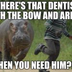 hippo chase | WHERE'S THAT DENTIST WITH THE BOW AND ARROW WHEN YOU NEED HIM??? | image tagged in hippo chase | made w/ Imgflip meme maker
