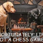 Dogs Playing Chess | UNFORTUNATELY, LIFE'S NOT A CHESS GAME.... | image tagged in dogs playing chess | made w/ Imgflip meme maker