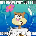 On online you'll see people do this to start a fight... | I DON'T KNOW WHY BUT I THINK I'M GOING TO REPLY TO THIS HATER | image tagged in sandy i don't know why,spongebob | made w/ Imgflip meme maker