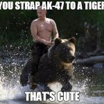 Putin Thats Cute | YOU STRAP AK-47 TO A TIGER THAT'S CUTE | image tagged in putin thats cute | made w/ Imgflip meme maker