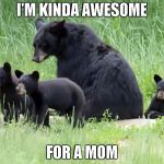 Black bears | I'M KINDA AWESOME FOR A MOM | image tagged in black bears | made w/ Imgflip meme maker