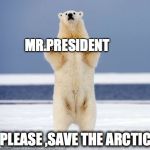 Hands Up Polar Bear | MR.PRESIDENT PLEASE ,SAVE THE ARCTIC | image tagged in hands up polar bear | made w/ Imgflip meme maker
