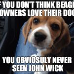 Beagle puppy | IF YOU DON'T THINK BEAGLE OWNERS LOVE THEIR DOG YOU OBVIOSULY NEVER SEEN JOHN WICK | image tagged in beagle puppy | made w/ Imgflip meme maker