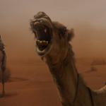 Camel Yell