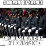 Moment of silence | A MOMENT OF SILENCE FOR OUR SANDWICHES IN THE WASP ZOME | image tagged in moment of silence | made w/ Imgflip meme maker