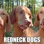 redneck dog teeth | REDNECK DOGS | image tagged in redneck dog teeth | made w/ Imgflip meme maker