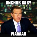 Brian williams | ANCHOR BABY WAAAAH | image tagged in brian williams | made w/ Imgflip meme maker