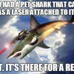 Flying Laser Shark | IF YOU HAD A PET SHARK THAT CAN FLY AND HAS A LASER ATTACHED TO ITS HEAD USE IT. IT'S THERE FOR A REASON | image tagged in flying laser shark | made w/ Imgflip meme maker