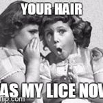 sharing's fun | YOUR HAIR HAS MY LICE NOW | image tagged in whisper,memes | made w/ Imgflip meme maker