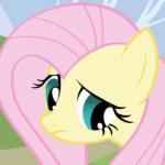 Timid Fluttershy