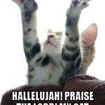 Hallelujah Kitty  | HALLELUJAH! PRAISE THE LORD! MY CAT CHOW RUNNETH OVER! | image tagged in amen cat,hallelujah,praise the lord,kitty,kitty cat | made w/ Imgflip meme maker