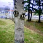 Disapproving Tree