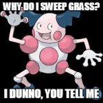 Mr Mime | WHY DO I SWEEP GRASS? I DUNNO, YOU TELL ME | image tagged in mr mime | made w/ Imgflip meme maker