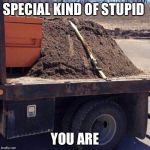 Special kind of stupid  | SPECIAL KIND OF STUPID YOU ARE | image tagged in special kind of stupid,stupidity,memes,funny,funny memes | made w/ Imgflip meme maker