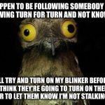 Crazy eyed bird | IF I HAPPEN TO BE FOLLOWING SOMEBODY WHILE I'M DRIVING TURN FOR TURN AND NOT KNOW THEM I'LL TRY AND TURN ON MY BLINKER BEFORE I THINK THEY'R | image tagged in crazy eyed bird | made w/ Imgflip meme maker