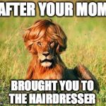 Funny Lion | AFTER YOUR MOM BROUGHT YOU TO THE HAIRDRESSER | image tagged in funny lion | made w/ Imgflip meme maker