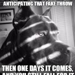 Noir Dog | YOU SPEND ALL YOUR LIFE ANTICIPATING THAT FAKE THROW THEN ONE DAYS IT COMES, AND YOU STILL FALL FOR IT | image tagged in noir dog | made w/ Imgflip meme maker