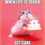 birthday hamster | WHEN LIFE IS TOUGH GET CAKE | image tagged in birthday hamster | made w/ Imgflip meme maker