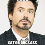 Seriously. It's poopy butt is on everything | WHEN YOU REALIZE YOUR CAT OR DOGS ASS HAS BEEN ON EVERY SURFACE IN YOUR HOUSE | image tagged in when you,realize | made w/ Imgflip meme maker