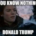 ygritte you know nothing | YOU KNOW NOTHING DONALD TRUMP | image tagged in ygritte you know nothing | made w/ Imgflip meme maker