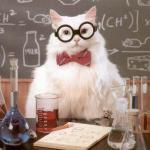 cat scientist