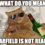 winecat | WHAT DO YOU MEAN GARFIELD IS NOT REAL? | image tagged in winecat | made w/ Imgflip meme maker