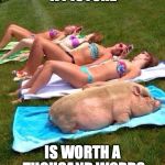 pig girls | A PICTURE IS WORTH A THOUSAND WORDS | image tagged in pig girls | made w/ Imgflip meme maker