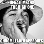 about the renaming of Mt. McKinley  | DENALI MEANS THE HIGH ONE CHOOM LEADER APPROVES | image tagged in being cool,denali,memes | made w/ Imgflip meme maker