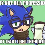 Sonic the Hipster | I MAY NOT BE A PROFESSIONAL BUT AT LEAST I GET THE JOB DONE! | image tagged in sonic the hipster | made w/ Imgflip meme maker