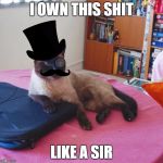 Like a Catsir | I OWN THIS SHIT LIKE A SIR | image tagged in like a catsir | made w/ Imgflip meme maker