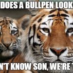 tigers bullpen with real tigers | WHAT DOES A BULLPEN LOOK LIKE ? WE DON'T KNOW SON, WE'RE TIGERS | image tagged in tigers bullpen with real tigers,mlb,baseball | made w/ Imgflip meme maker