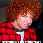 carrot top | EVER WONDER WHAT HAPPENED TO LITTLE ORPHAN ANNIE? | image tagged in carrot top | made w/ Imgflip meme maker