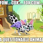 Animal Jam Flying Cow Fox | FOW... COX..... FOX COW.... A QUESTIONABLE ANIMAL | image tagged in animal jam flying cow fox | made w/ Imgflip meme maker