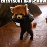 Animals to humans | EVERYBODY DANCE NOW | image tagged in animals to humans | made w/ Imgflip meme maker