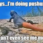 Chuck the Chuckwalla says... | Chuck says...I'm doing pushups so fast you can't even see me moving | image tagged in chuck the chuckwalla says | made w/ Imgflip meme maker